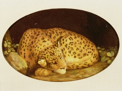 Sleeping Leopard by George Stubbs